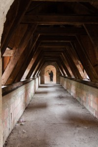 23640989543_578be5696a_o